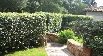 Le Ginestre - Appartamento trilocale in vendita a Porto Rotondo Appartamento in vendita a Porto Rotondo